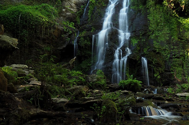 Free Waterfall River photo and picture
