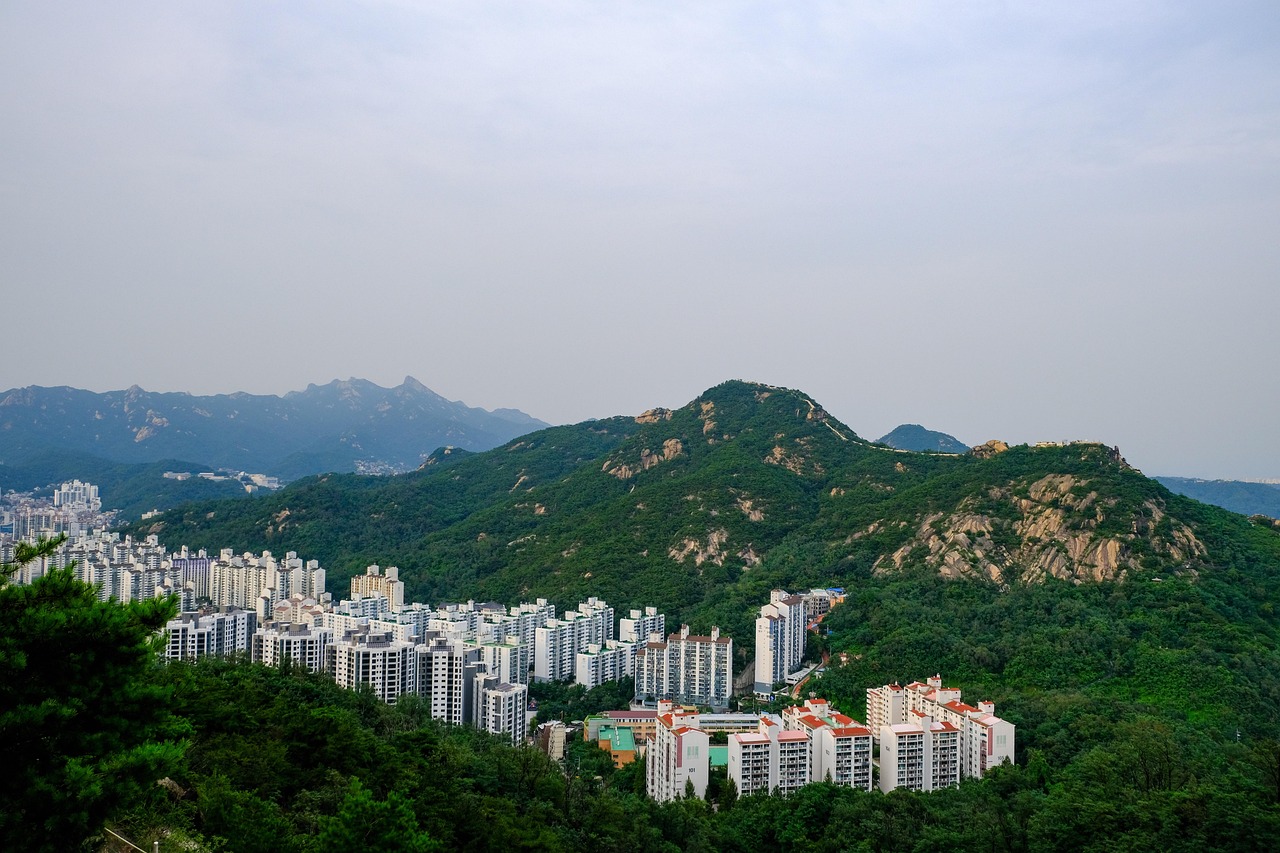 산 서울 도시 - Pixabay의 무료 사진 - Pixabay