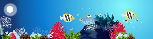 Free seabed sea underwater illustration