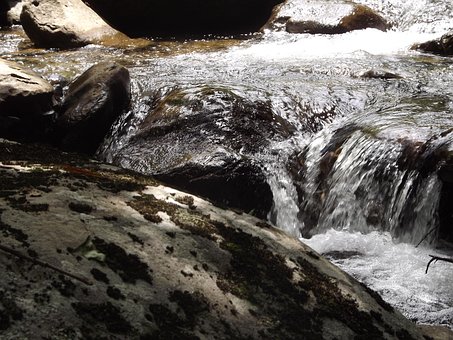 Free River Nature photo and picture