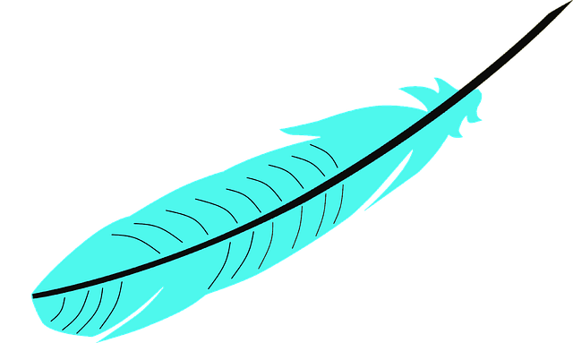 Download free HD stock image of Aquamarine Feather Bird Feather Free aquamarine feather bird feather feather illustration