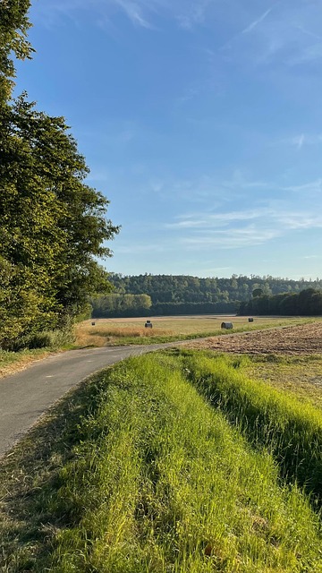 Natuur, Landschap, Veld, Weg, Zandweg