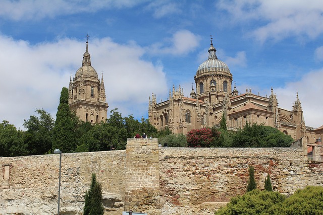 Free Salamanca photo and picture