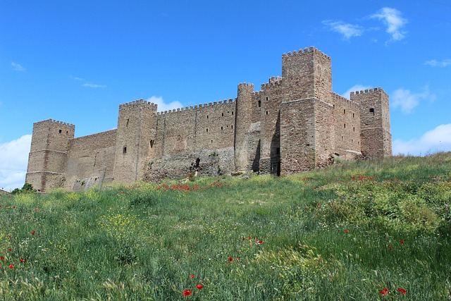 Free Castle Medieval Castle photo and picture