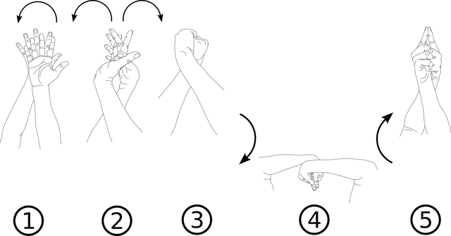 Free hand hand posture samhar mudra vector