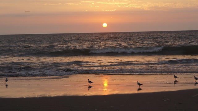 Free Sea Waves photo and picture