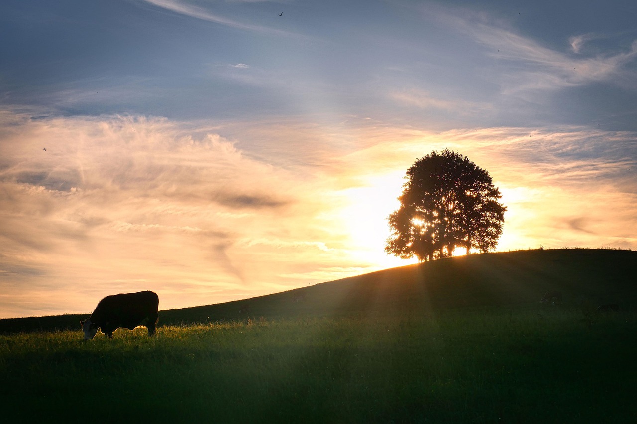 Hill - free online jigsaw puzzle photo