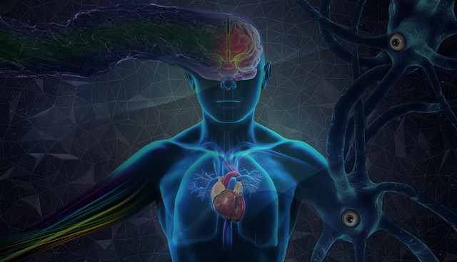 Free brain mind human illustration