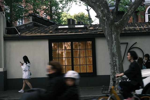 Free Shanghai Street photo and picture