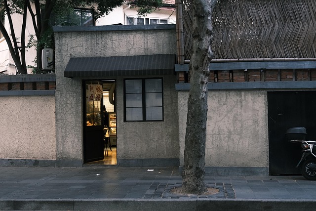 Free Shanghai Street photo and picture