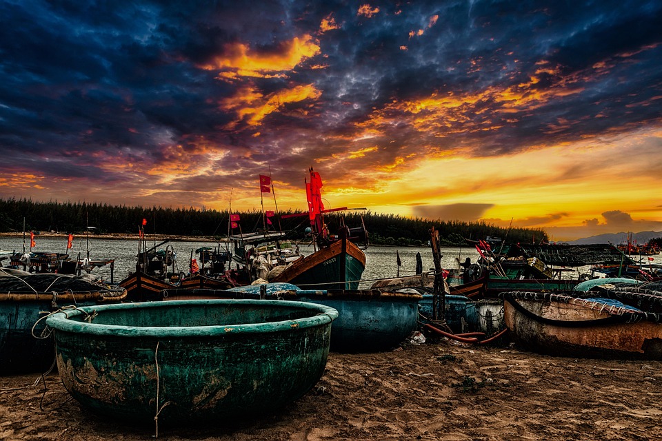 Casting Made Easy: Essential Fishing Tips for New Anglers
