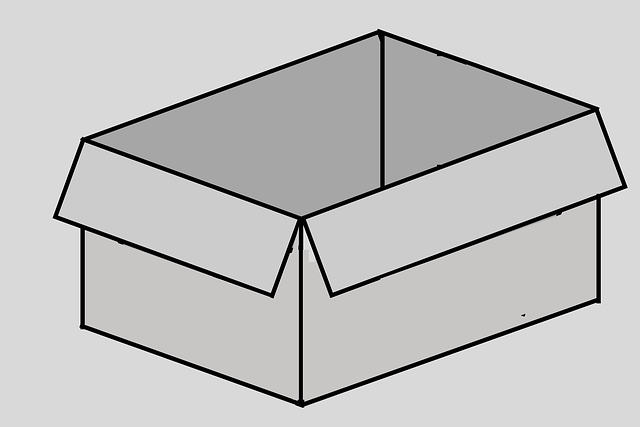 Boceto De Caja De Cartón, Caja