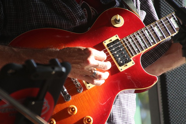 Free Guitar Guitarist photo and picture