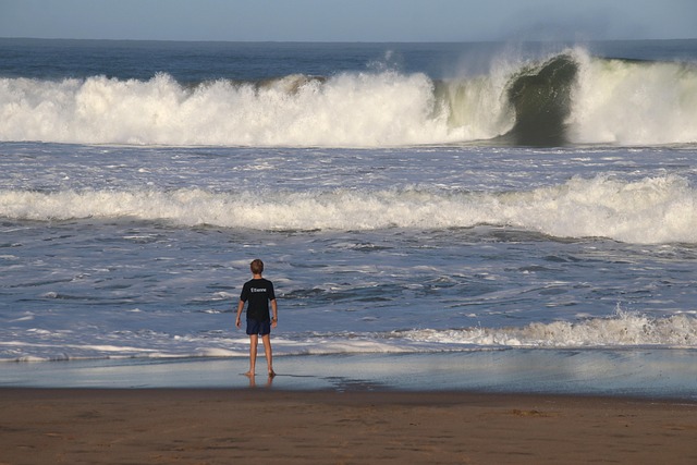 Free Beach Man photo and picture