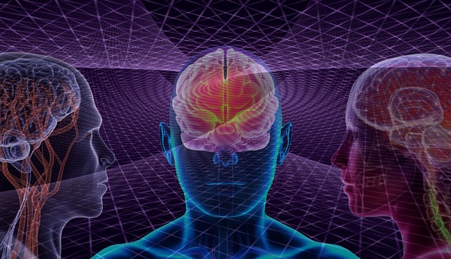 Free brain mind human illustration