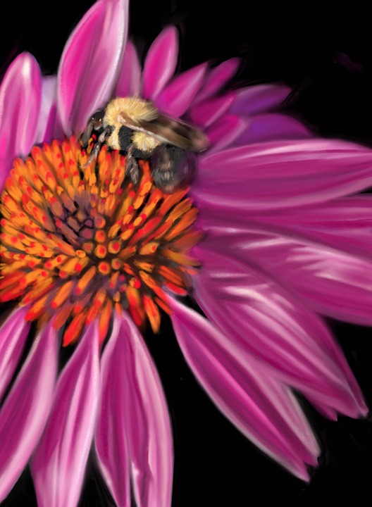 flower-7412344_960_720.jpg