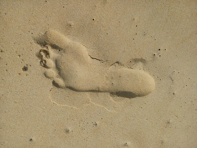 Free My Foot Sand photo and picture