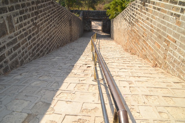 Free Diu Fort photo and picture
