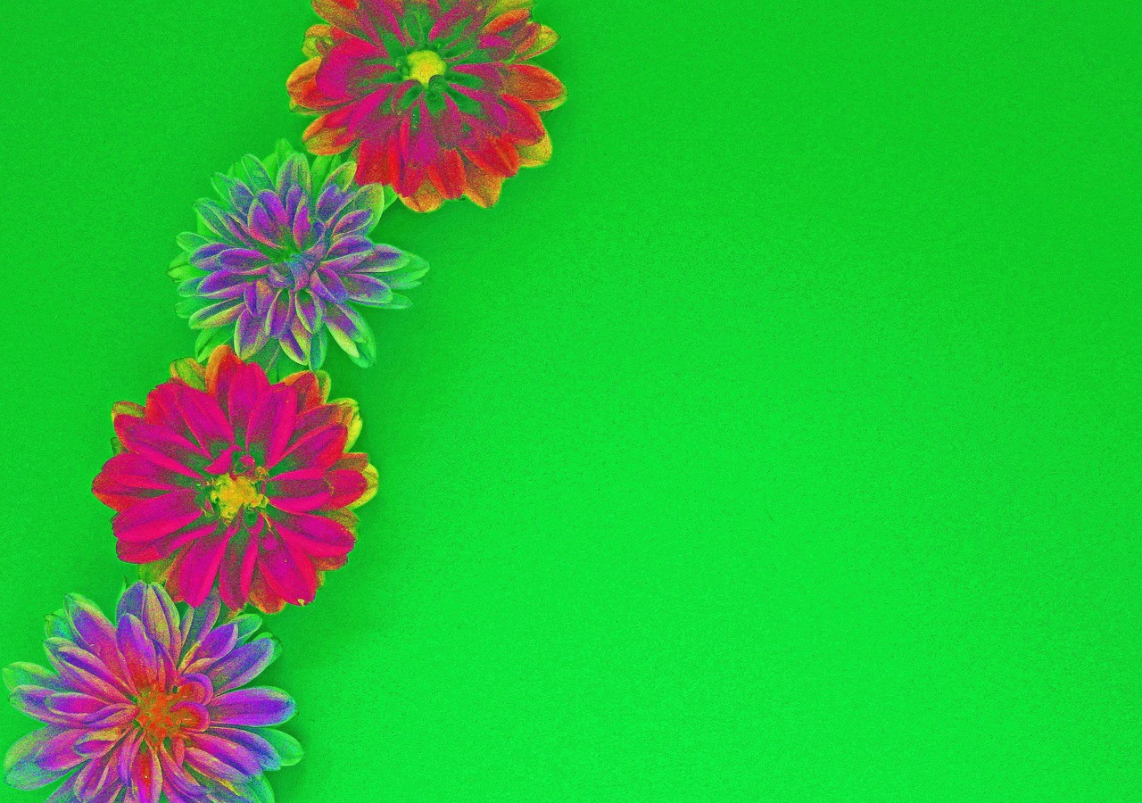 Flower - free online jigsaw puzzle photo