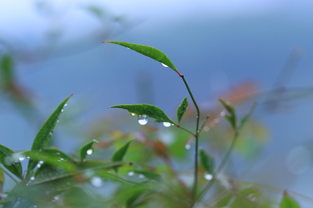 新疆千方百计救助困难群众