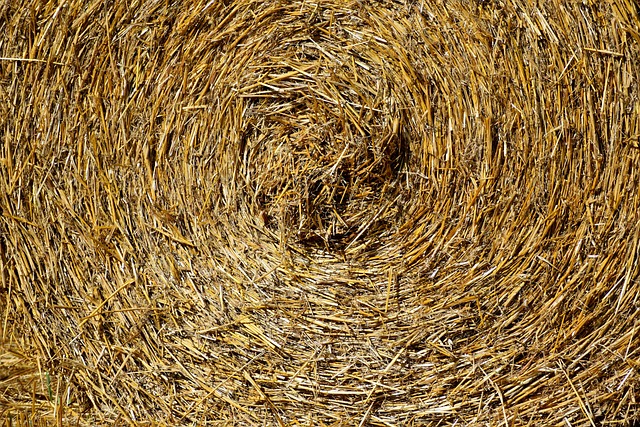Palha, Rolo, Colheita, Agricultura
