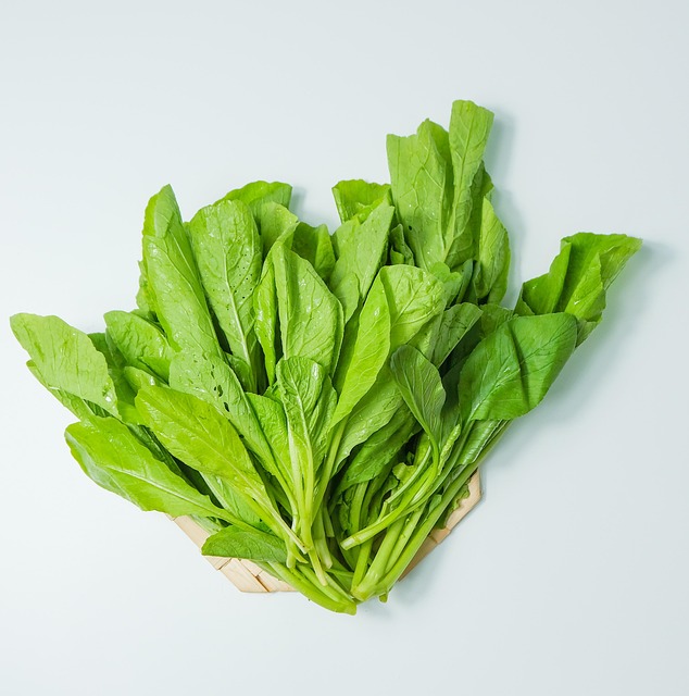 spinach, factory, healthy