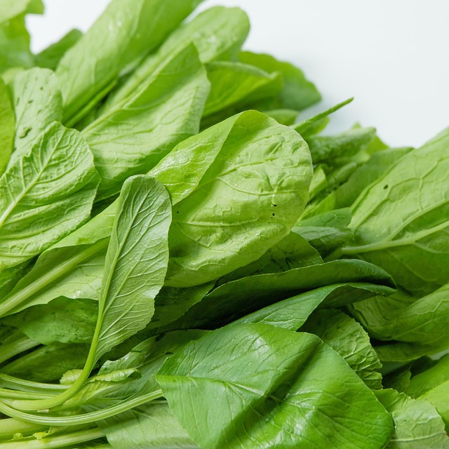 vegetable, factory, healthy