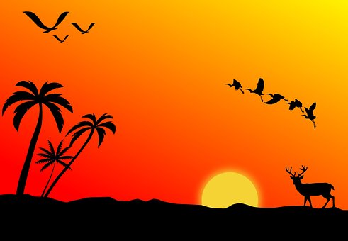 Free Sunrise Sunset photo and picture