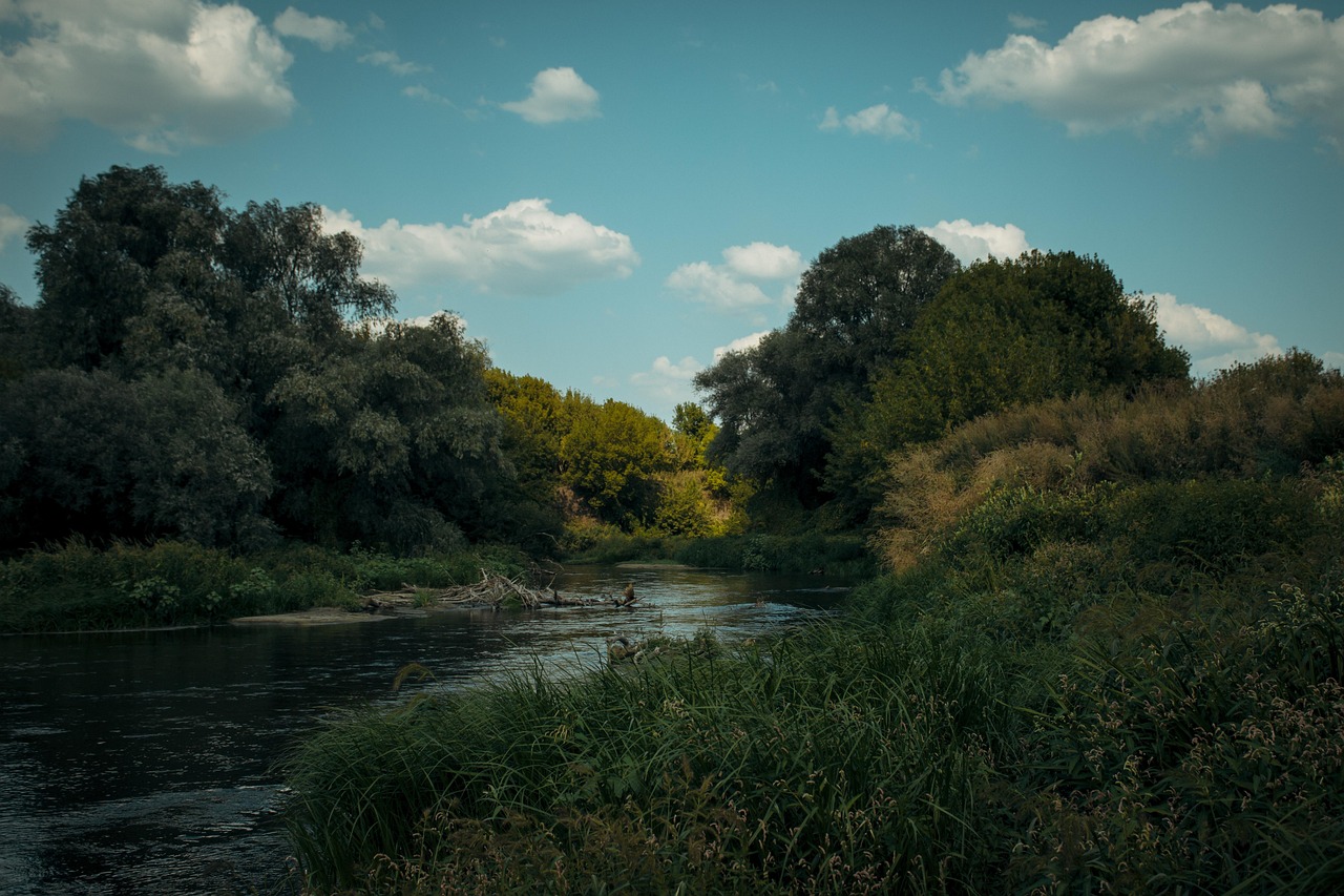 Natureza Agua Rio - Foto gratuita no Pixabay - Pixabay