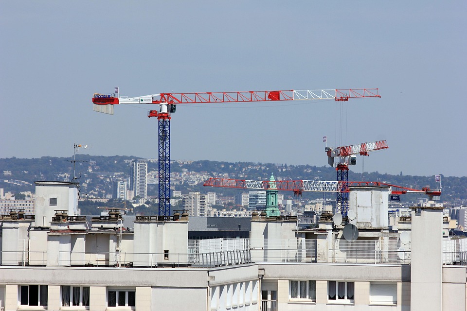 cranes-7414353_960_720.jpg