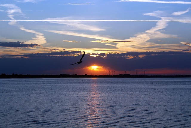 Free Blue Twilight photo and picture