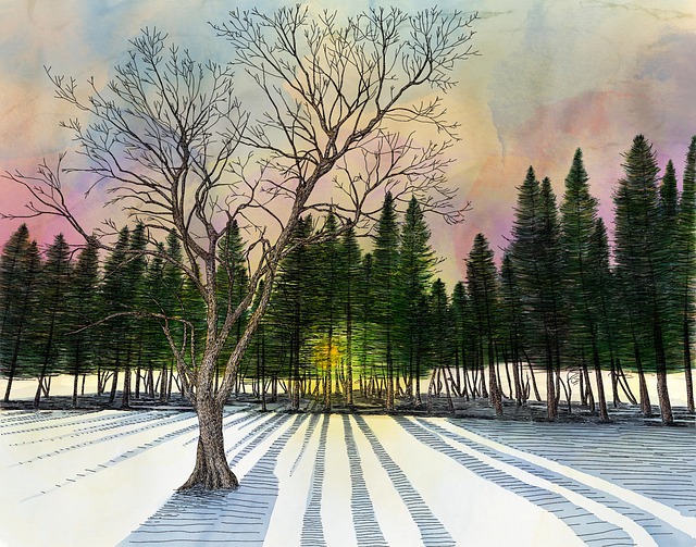 Free winter sunset forest illustration