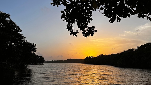 Free Nature Sunset photo and picture