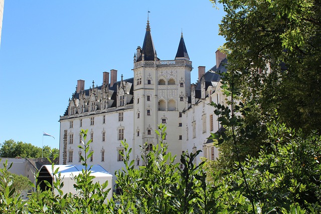 Free Castle Nantes photo and picture