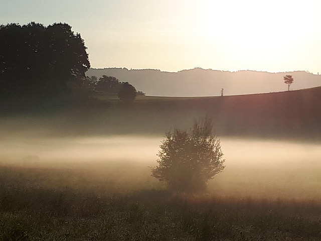 Free Landscape Love photo and picture