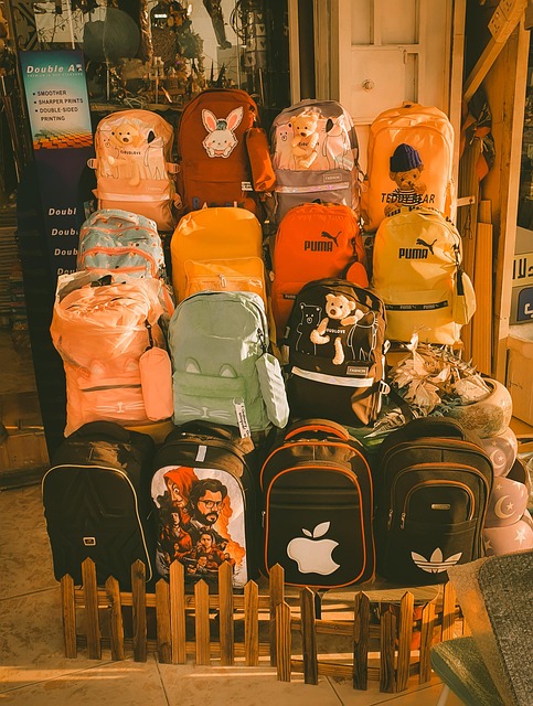 Free Bags Study photo and picture