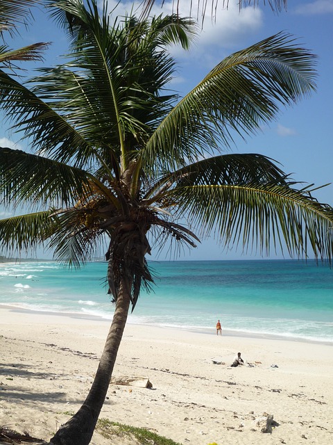 Sable Plage Mer Punta - Photo gratuite sur Pixabay
