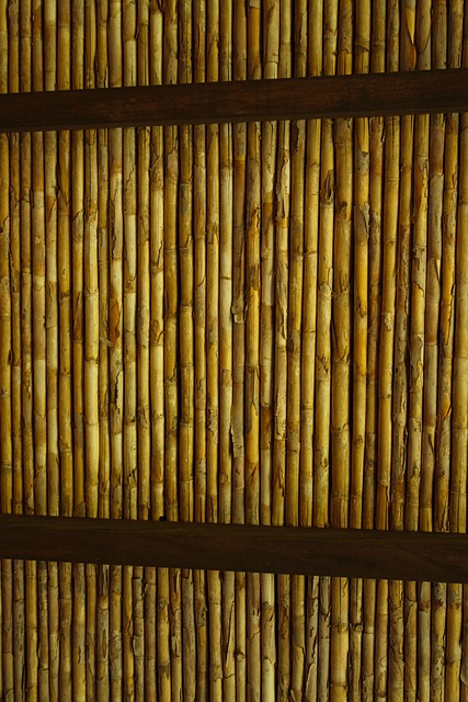 Costa Rica, Rustico, Tejado, Bambú