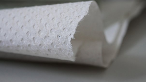 Free Paper Towel Cloth photo and picture