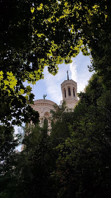 Free Lyon Basilica photo and picture