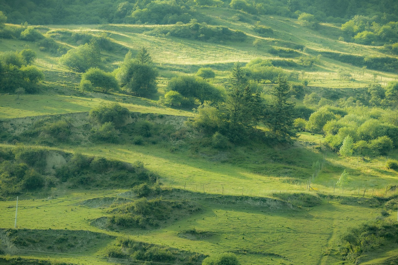 Mountain Range - free online jigsaw puzzle photo