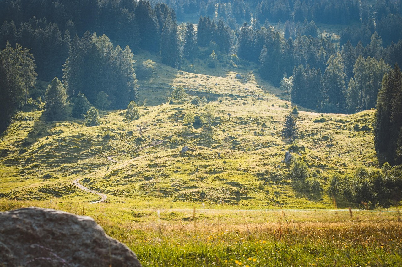 Paysage L'Été La Nature - Photo gratuite sur Pixabay - Pixabay