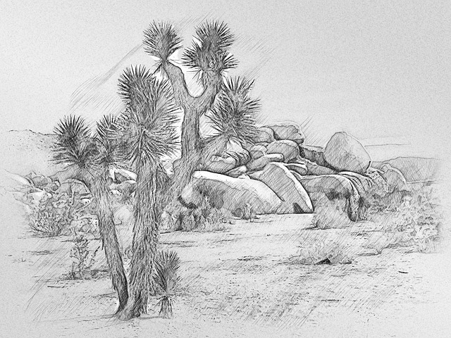 Download free HD stock image of Joshua Tree National Park Free joshua tree national park landscape illustration