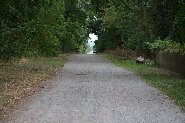 Free Village Dirt Road photo and picture