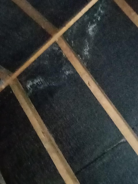 Free Attic Roof photo and picture