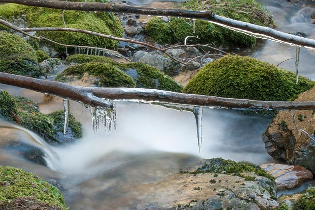 Free Nature Exploration photo and picture