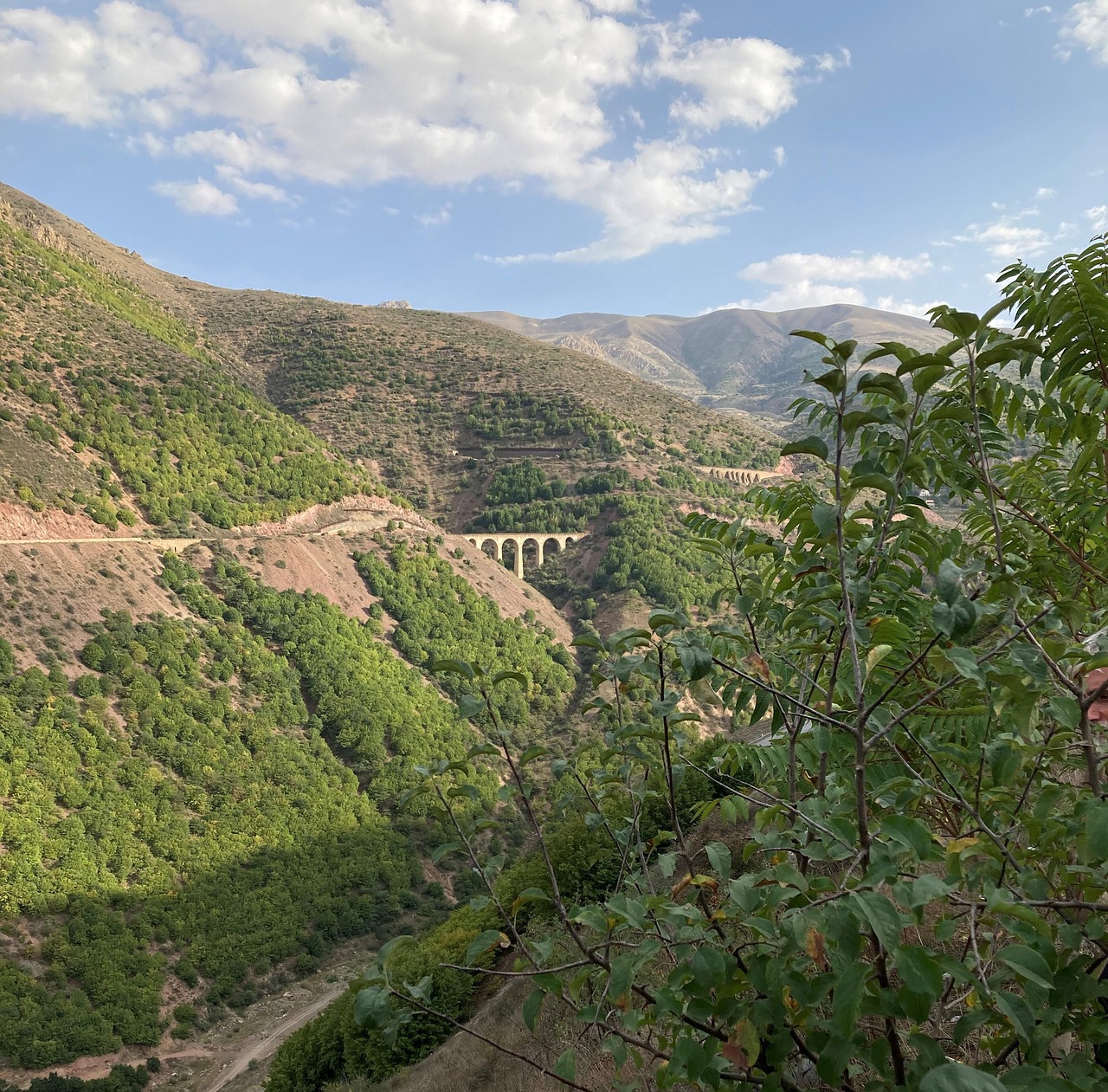 Bridge Valley Tree Free photo on Pixabay Pixabay