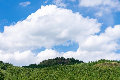 Free Cloud Cumulus photo and picture