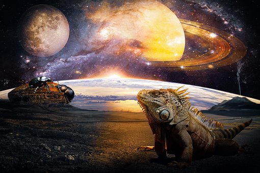 Free Strange Worlds Alien photo and picture