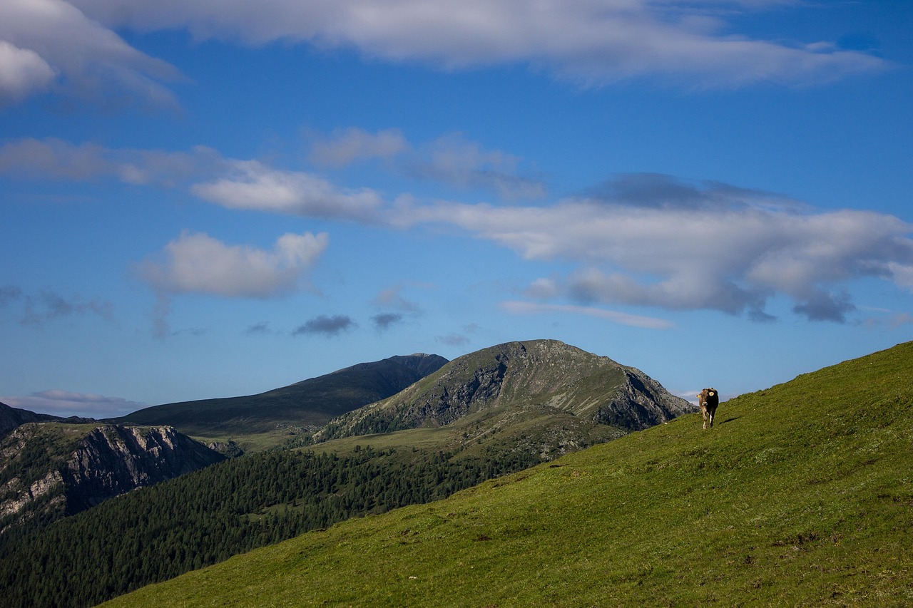 Mountains - free online jigsaw puzzle photo